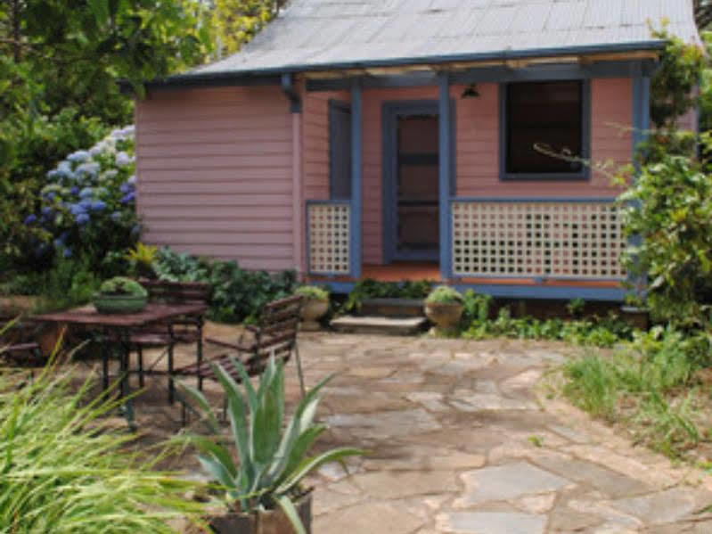 Bygone Beautys Cottages Leura Esterno foto